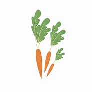 Image result for Carrot Bunch Clip Art