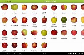 Image result for Blue Tree and Green Apple
