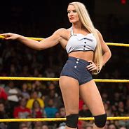 Image result for WWE NXT Wrestlers