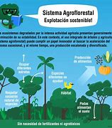 Image result for agroflrestal