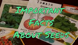 Image result for Non-GMO Seeds