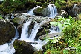 Image result for Small Stream Water Sounds