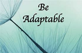 Image result for adiptable