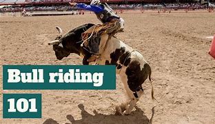 Image result for Rodeo Bull Riding Game