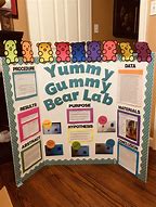 Image result for Gummy Bear Science Fair Project