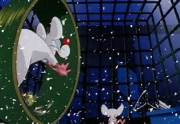 Image result for Pinky and the Brain Christmas