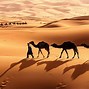 Image result for Sahara Desert Landscape