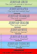 Image result for Adam in the Jehovah Bible