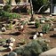 Image result for Drought Tolerant Landscaping Ideas