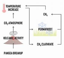 Image result for A Carbon Cycle