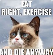 Image result for Grumpy Cat Disney Memes