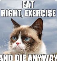 Image result for Grumpy Cat Meems Clean