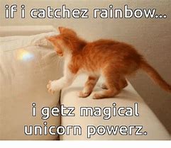 Image result for Rainbow Unicorn Meme