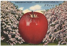 Image result for Virginia Apple Trees