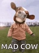Image result for Cow Meme PFP