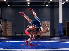 Image result for MMA Grappling