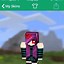 Image result for Mcpe Invisible Skin