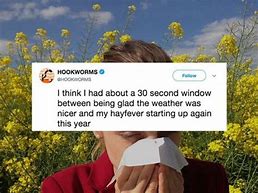 Image result for Allergy Sneeze Meme