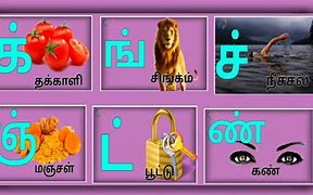 Image result for Tamil Basics
