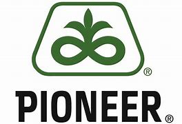 Image result for Pioneer Corn Logo