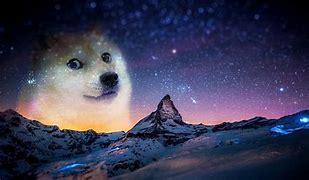 Image result for Doge Meme Art