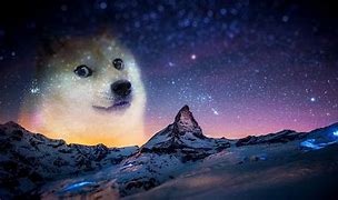 Image result for Doge Meme Face Wallpaper