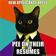 Image result for Business Cat Meme with White Background