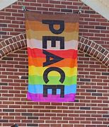 Image result for The Peace Flag Project