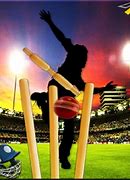 Image result for Cricket Images for Tournament