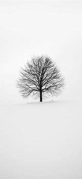 Image result for White Tree iPhone Wallpaper