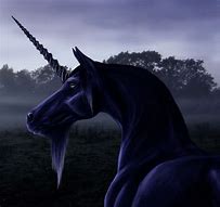 Image result for Black Horse Unicorn