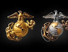 Image result for Enlisted Eagle Globe and Anchor
