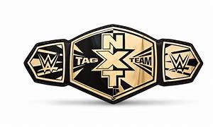Image result for WWE NXT Tag Team Championship Belt
