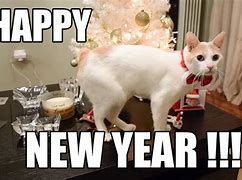 Image result for Happiest Year Meme