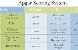 Image result for apigar