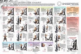 Image result for Home Gym Workout Routines Chart