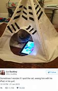 Image result for Cat Seeing Phone Meme