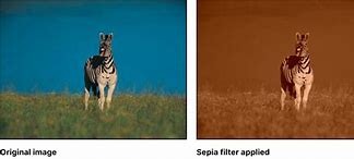 Image result for Sepia Camera Filter