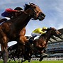 Image result for Horse Racing Pictures