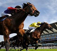 Image result for Great Horse Racing Photos