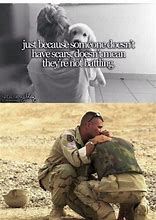 Image result for PTSD Soldier Cat Meme