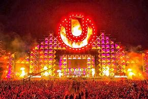 Image result for Best Picture for Ultra Music Festival