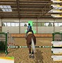 Image result for Horse Racing Arcade Game