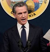 Image result for Gavin Newsom not running