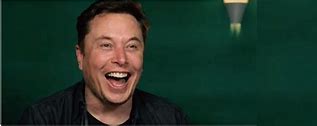 Image result for Elon Musk Business Memes