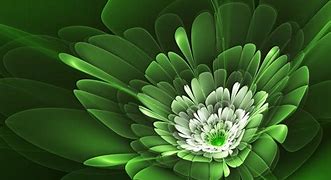 Image result for Green Desktop Background