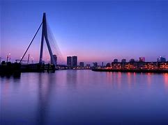 Image result for Erasmus Bridge Rotterdam