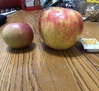 Image result for Biggest Apple