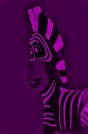 Image result for Zebra Front View