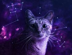 Image result for Cute Galaxy Cat